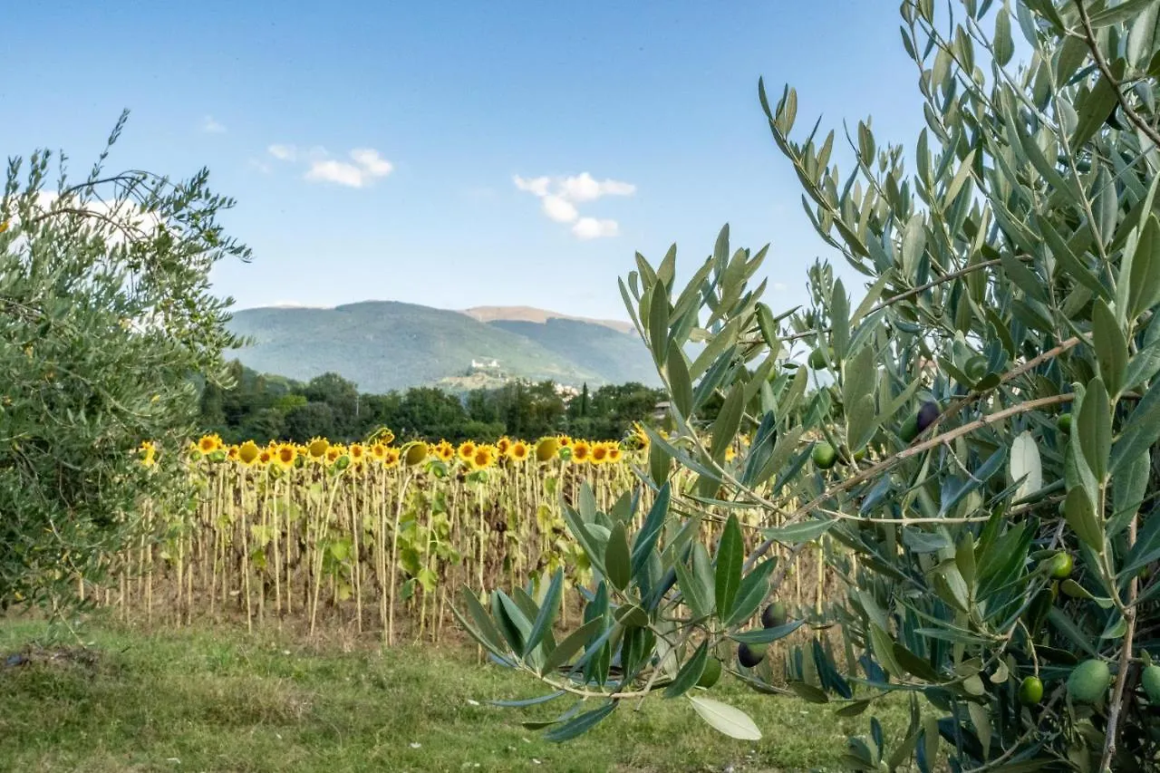 Appartamento Casa Vacanze Dionigi Assisi Italia
